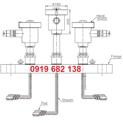 Can nhiệt đa điểm loại chống cháy nổ Wise R930