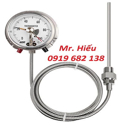 Đồng hồ nhiệt độ tiếp điểm điện Wise T760