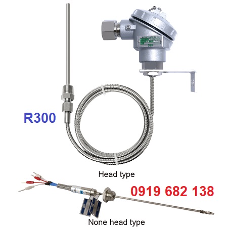 Cảm biến nhiệt độ, Can nhiệt, Nhiệt điện trở (RTD) Wise R300