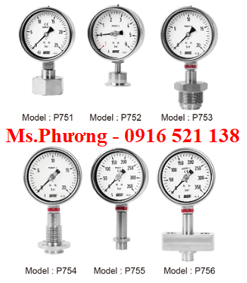 Đồng hồ áp suất Wise dạng màng P750 series