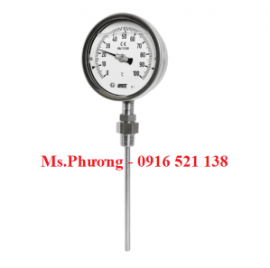 Đồng hồ nhiệt độ Wise T229