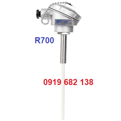 Cảm biến nhiệt độ, Can nhiệt, Cặp nhiệt điện Wise R700