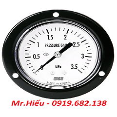 Đồng hồ áp suất Wise Model P112